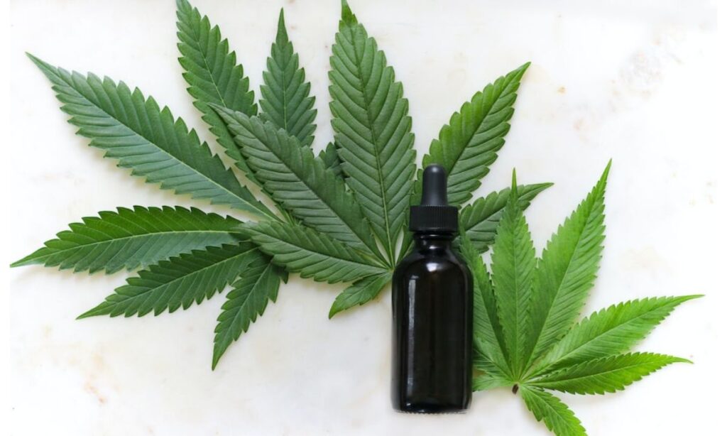 The History of CBD and its uses throughout the Ages