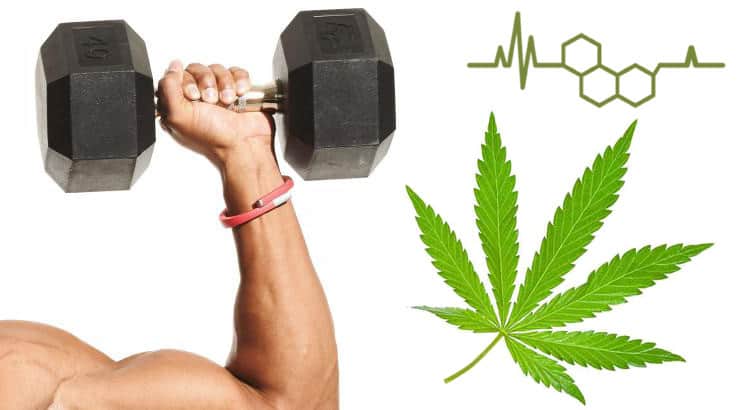 cbd uses for exercise routine