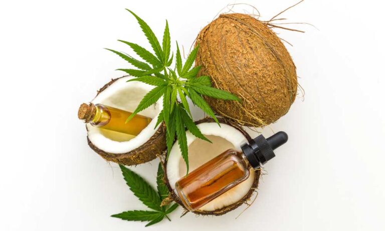 cbd oil vs virgin cocconut oil