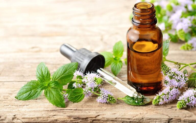 CBD Oil and the Immune System Can It Help During Cold and Flu Season
