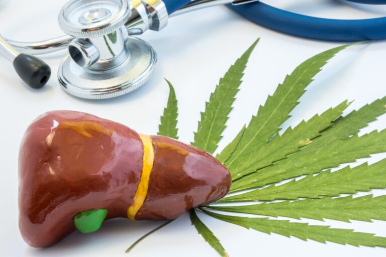 CBD Oil for Liver Health