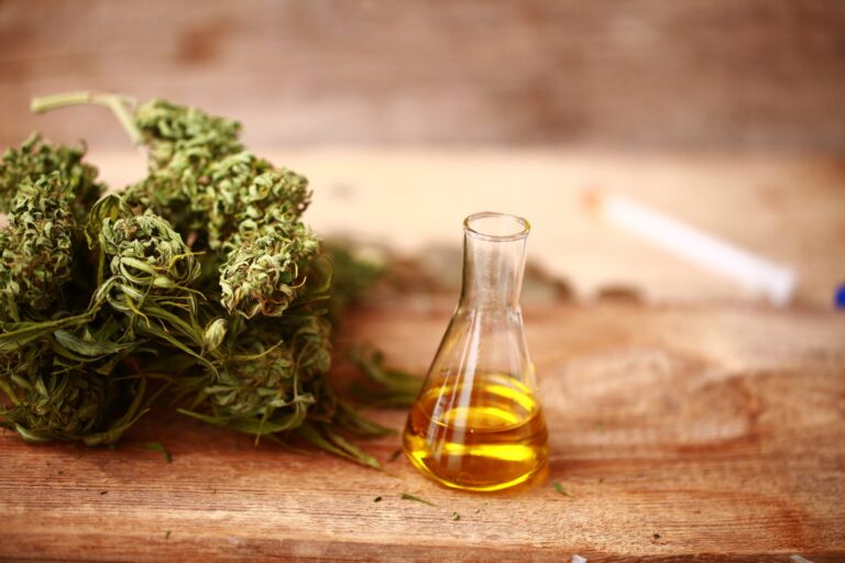 How CBD Oil Can Boost Your Immune System and Overall Health