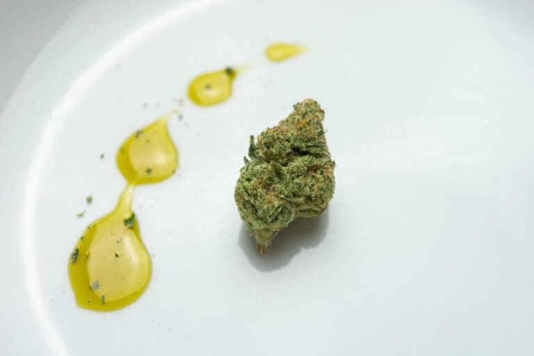 Cooking with CBD Oil Gourmet Recipes for Every Mealtime