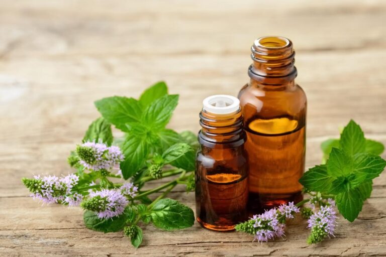 CBD Oil for Office Workers Easing Back Pain and Tension