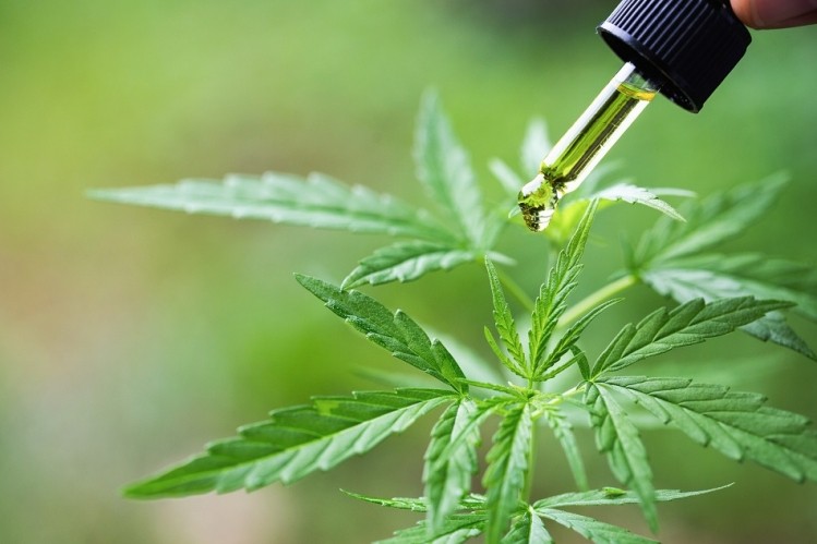 What Is CBD Oil