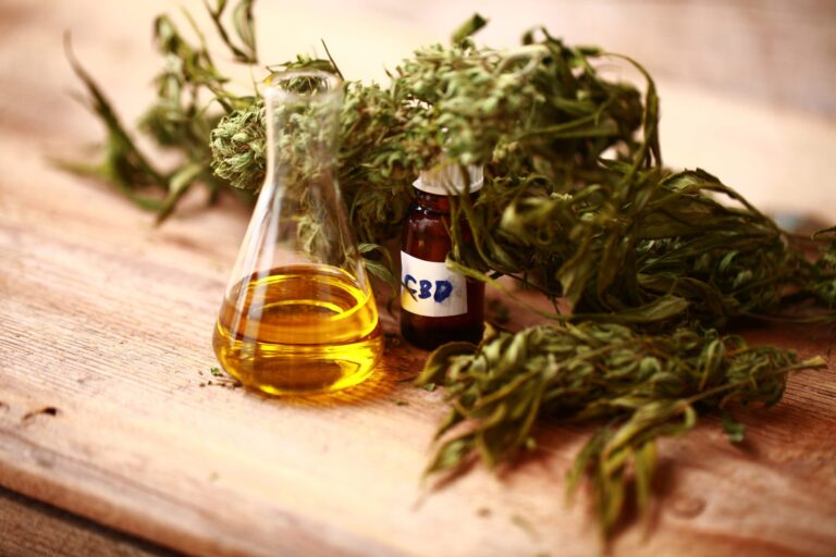 CBD Oil for Travel Anxiety What to Know Before Flying